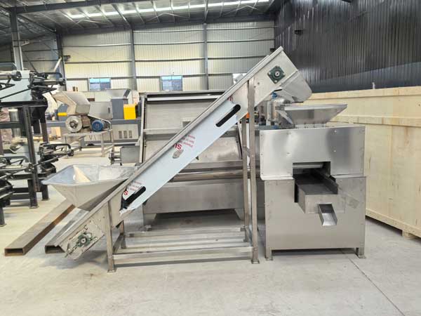 Citrus Juicer With Conveyor