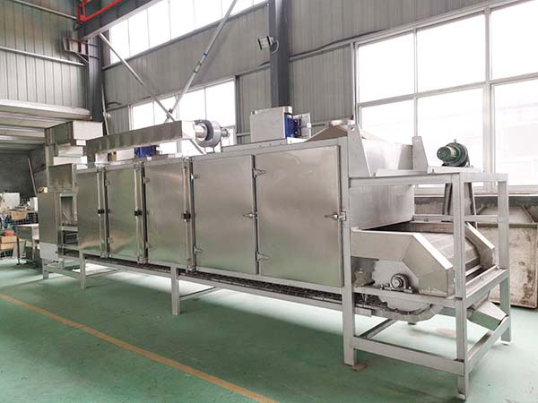 Continuous Belt Nut Roaster