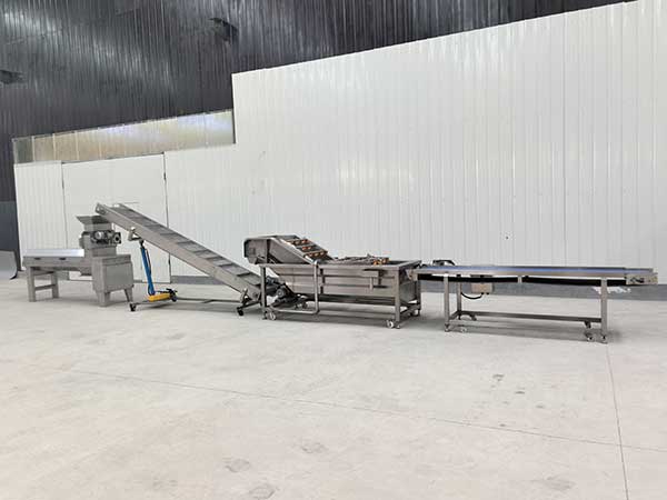 Pomegranate Deseeding Line