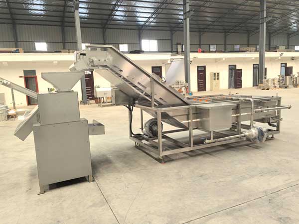 Citrus Juicer to Chile